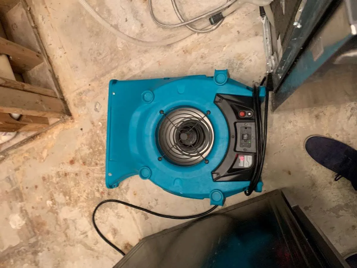 Air mover drying equipment for Mold Remediation & Removal in Coppell